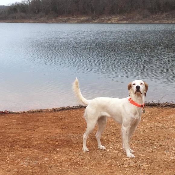 Meet your Posher, Charles - Picture 1 of 1